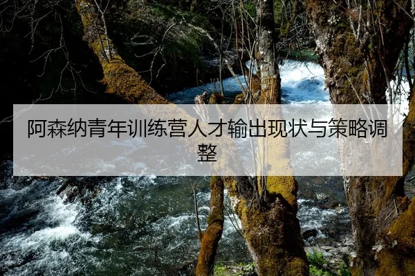 阿森纳青年训练营人才输出现状与策略调整