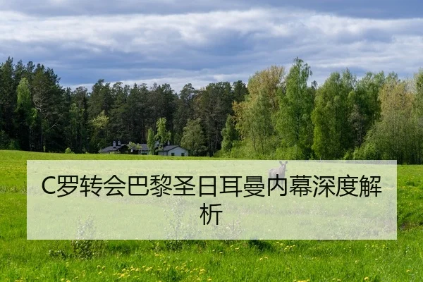 luo-zhuan-hui-ba-li-sheng-ri-er-man-nei-mu-shen-du-jie-xi-2-892.jpg